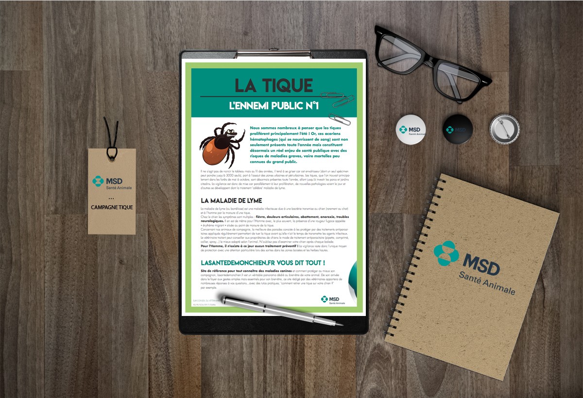 Campagne RP & Influenceurs