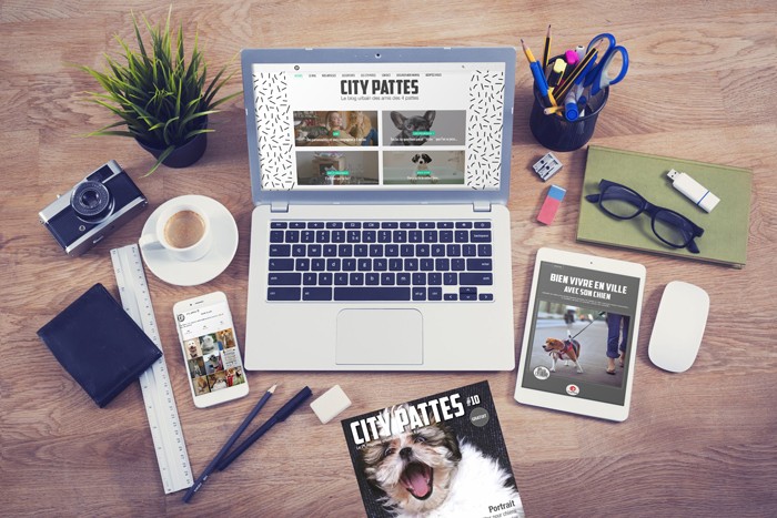 Blog & Social Media