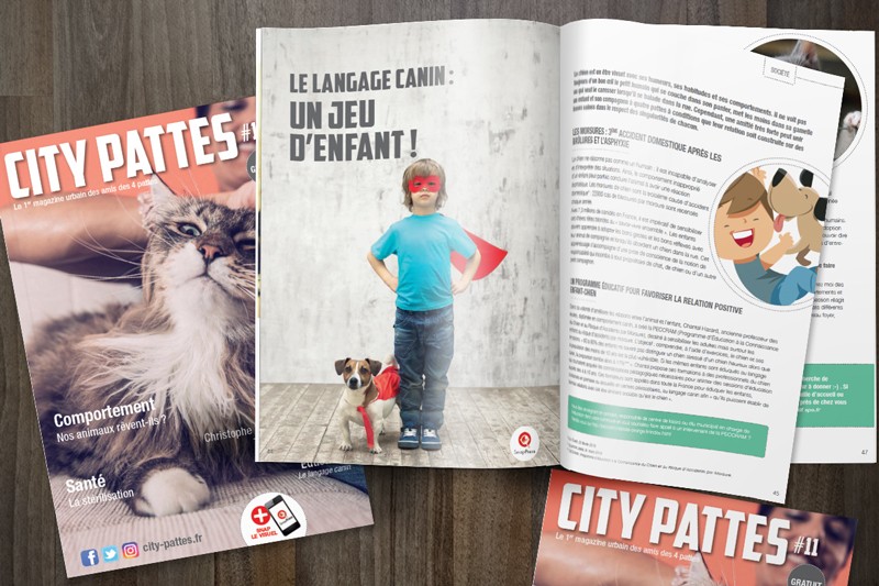 Création Graphique & Brand Content